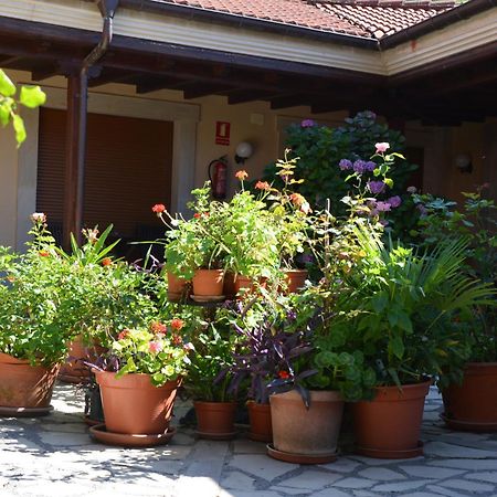 Hotel Arenas De Cabrales- Apartamentos 外观 照片