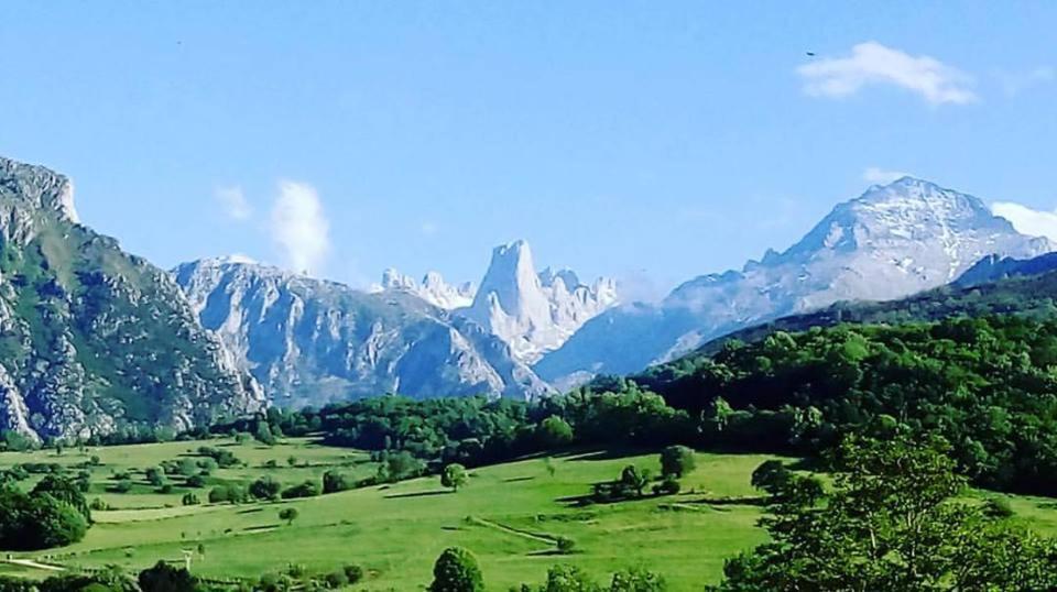 Hotel Arenas De Cabrales- Apartamentos 外观 照片