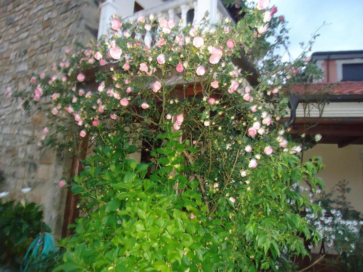 Hotel Arenas De Cabrales- Apartamentos 外观 照片